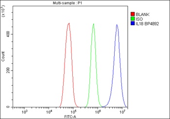 IL18 Rabbit Polyclonal Antibody