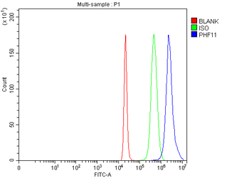 PHF11 Rabbit Polyclonal Antibody