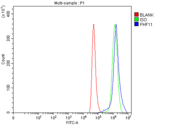 PHF11 Rabbit Polyclonal Antibody