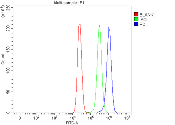 Pyruvate Carboxylase/PC Rabbit Polyclonal Antibody