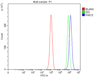 PAICS Rabbit Polyclonal Antibody