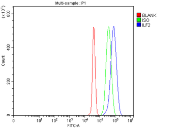 NF45/ILF2 Antibody