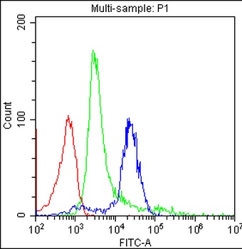 CD8 Cd8A Antibody (Monoclonal, CA-8)