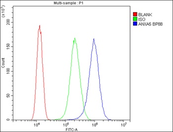 Annexin V/ANXA5 Antibody