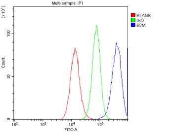 Beta 2 Microglobulin/B2M Rabbit Polyclonal Antibody