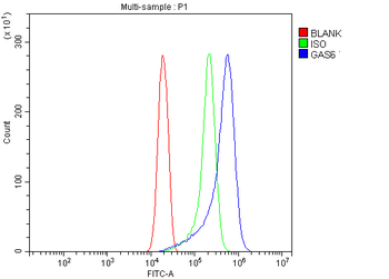 GAS 6/GAS6 Antibody