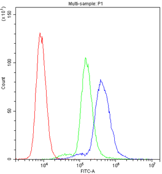Cyclophilin A/PPIA Antibody