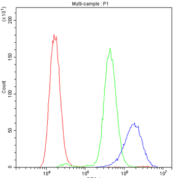 Cyclophilin A/PPIA Rabbit Polyclonal Antibody