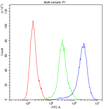 Cyclophilin A/PPIA Rabbit Polyclonal Antibody