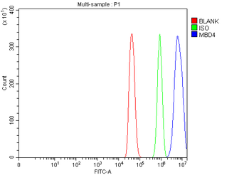Mbd4 Antibody