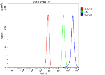 NUP98 Rabbit Polyclonal Antibody