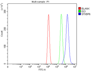 STXBP6 Rabbit Polyclonal Antibody