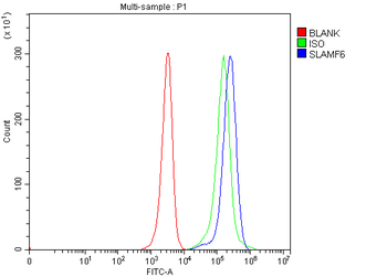 SLAMF6 Rabbit Polyclonal Antibody