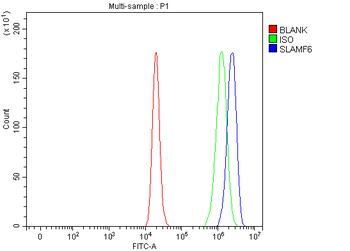 SLAMF6 Rabbit Polyclonal Antibody