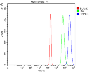 HSPA1L Antibody