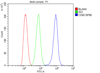 CD45/PTPRC Antibody
