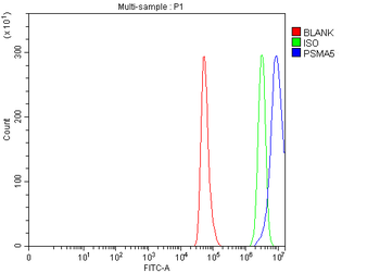 PSMA5 Rabbit Polyclonal Antibody