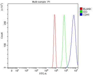 E-cadherin/Cdh1 Antibody