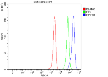 BPIFB1 Rabbit Polyclonal Antibody