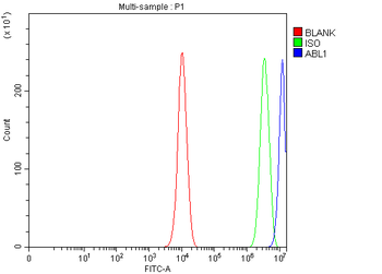 ABL1 Rabbit Polyclonal Antibody