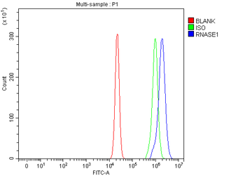 RNASE1 Rabbit Polyclonal Antibody