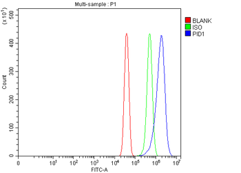 PID1 Antibody