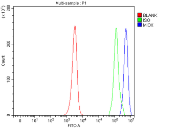 MIOX Rabbit Polyclonal Antibody