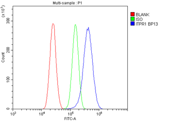 IP3 receptor/ITPR1 Antibody