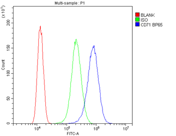 Transferrin Receptor/TFRC Antibody