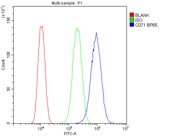 Transferrin Receptor/TFRC Antibody