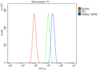 RACK1 GNB2L1 Antibody