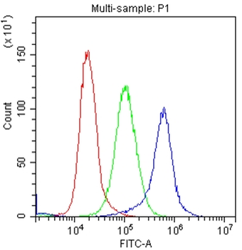 c-Kit Rabbit Polyclonal Antibody