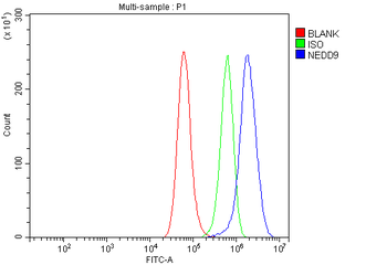 HEF1/NEDD9 Antibody