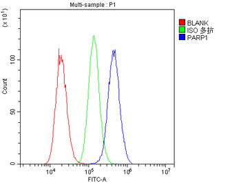 PARP/PARP1 Rabbit Polyclonal Antibody