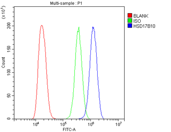 ERAB/HSD17B10 Antibody