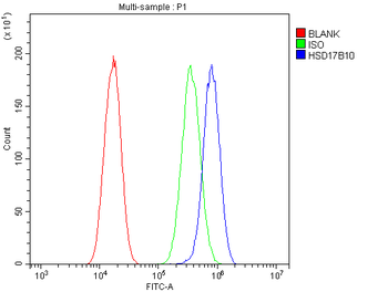 ERAB/HSD17B10 Antibody