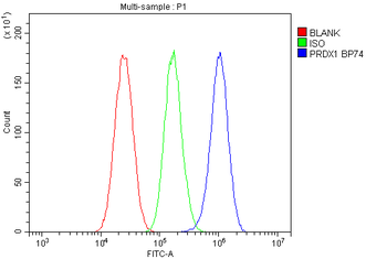 Peroxiredoxin 1/PRDX1 Antibody