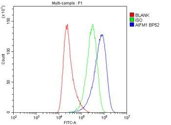 AIF/AIFM1 Antibody