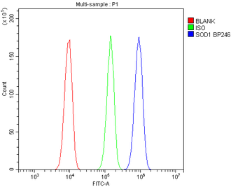 Superoxide Dismutase 1/SOD1 Antibody