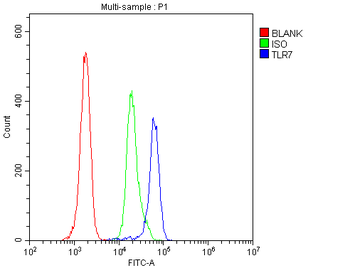 TLR7 Rabbit Polyclonal Antibody