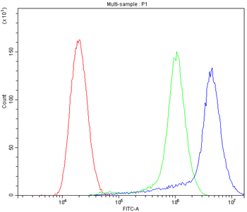 APLP1 Rabbit Polyclonal Antibody