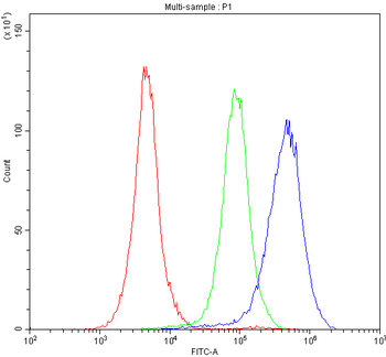 Cytochrome P450 1A1/CYP1A1 Rabbit Polyclonal Antibody