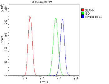 Eph receptor B1/EPHB1 Rabbit Polyclonal Antibody