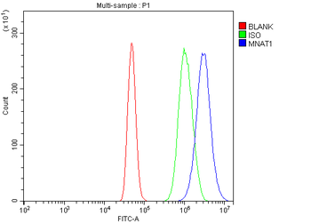 MNAT1 Antibody