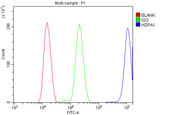 Hsp70/HSPA1A/HSPA1B Antibody