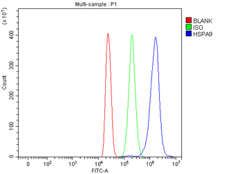 Grp75/HSPA9 Antibody