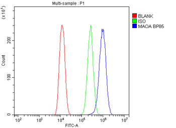 Monoamine Oxidase A/MAOA Antibody