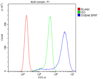 S100 alpha 6/S100A6 Antibody