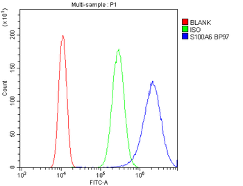 S100 alpha 6/S100A6 Antibody