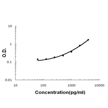 Lymphotactin/XCL1 Rabbit Polyclonal Antibody